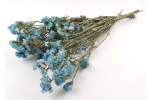 dried-statice-8.