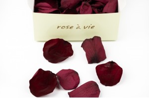 preserved-rose-petals-14.