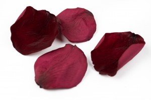 preserved-rose-petals-14.