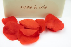 Preserved Rose petals (14)