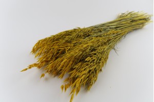 dried-oat-8.