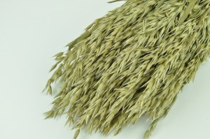 dried-oat-8