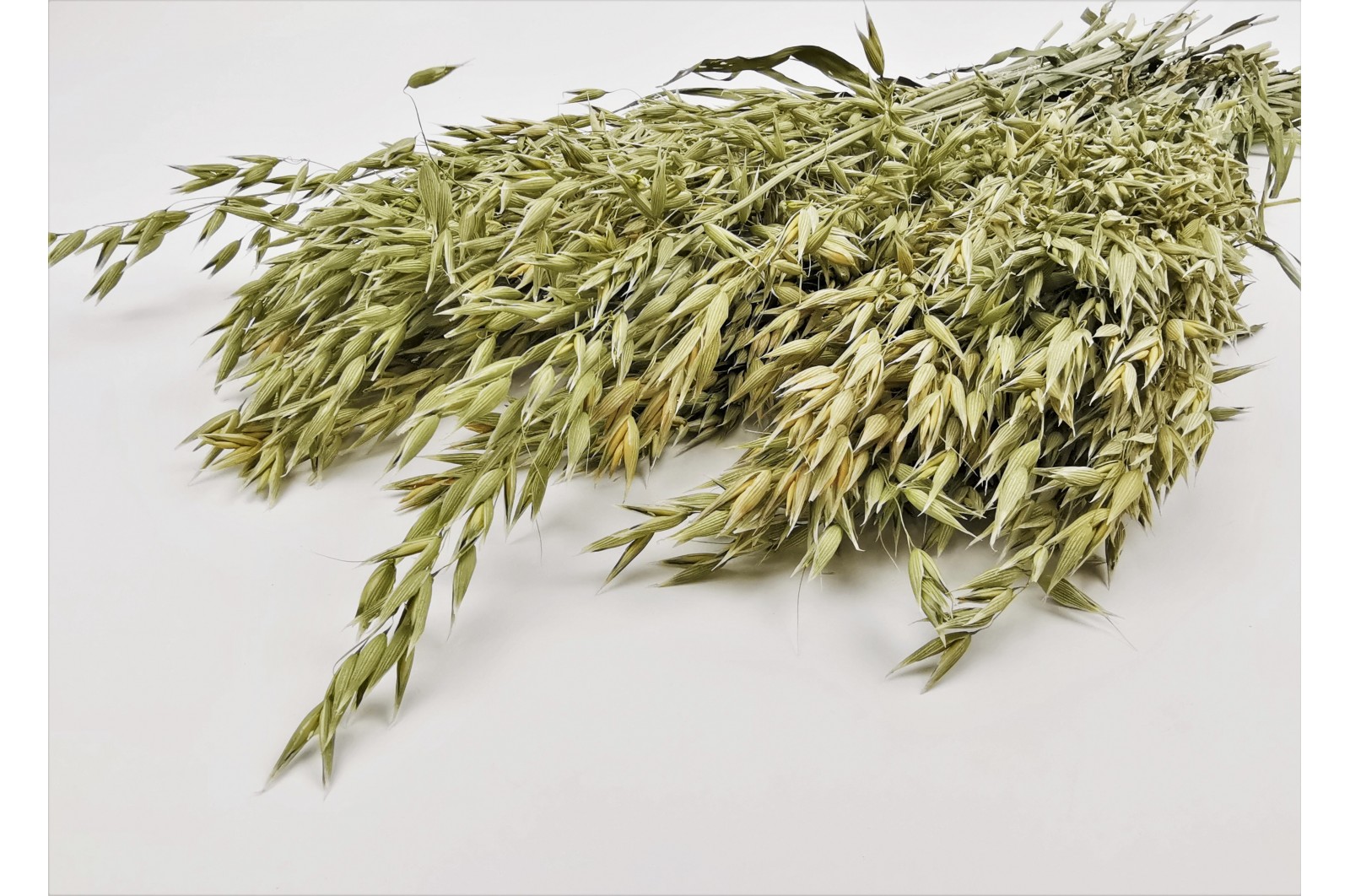 Dried oat (18) dried-oat-18
