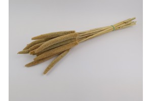 trockene-babala-8.