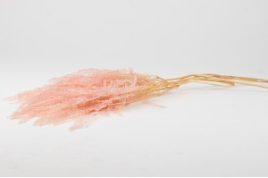 stabilisierte-pteridium-farn-8.