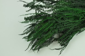 preserved-pteridium-fern-8.