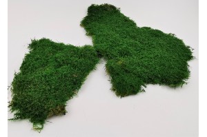mousse-plate-stabilisee-4.