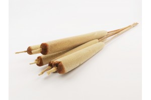 dried-typha-12.