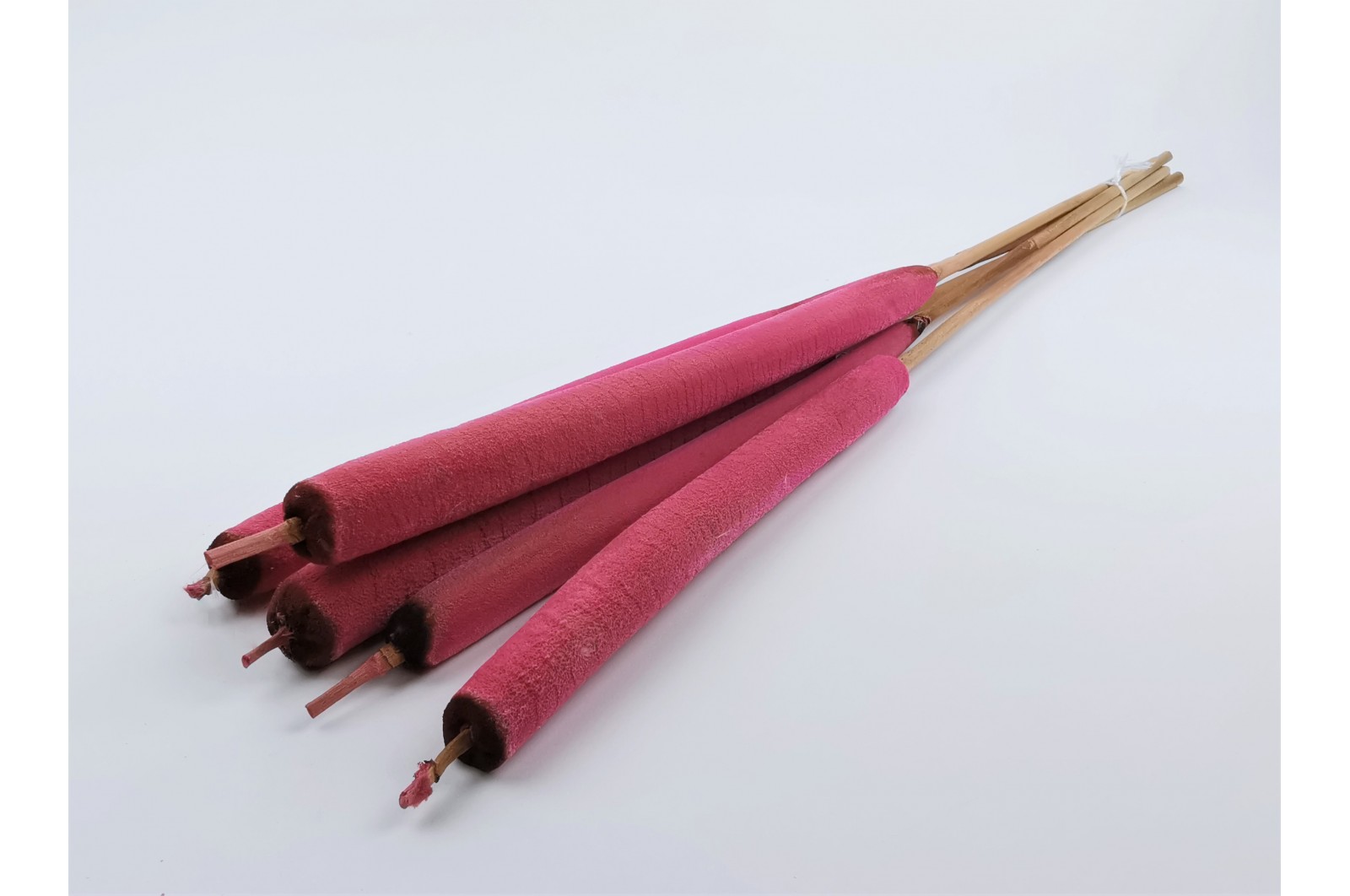 Dried Typha (12)* dried-typha-12