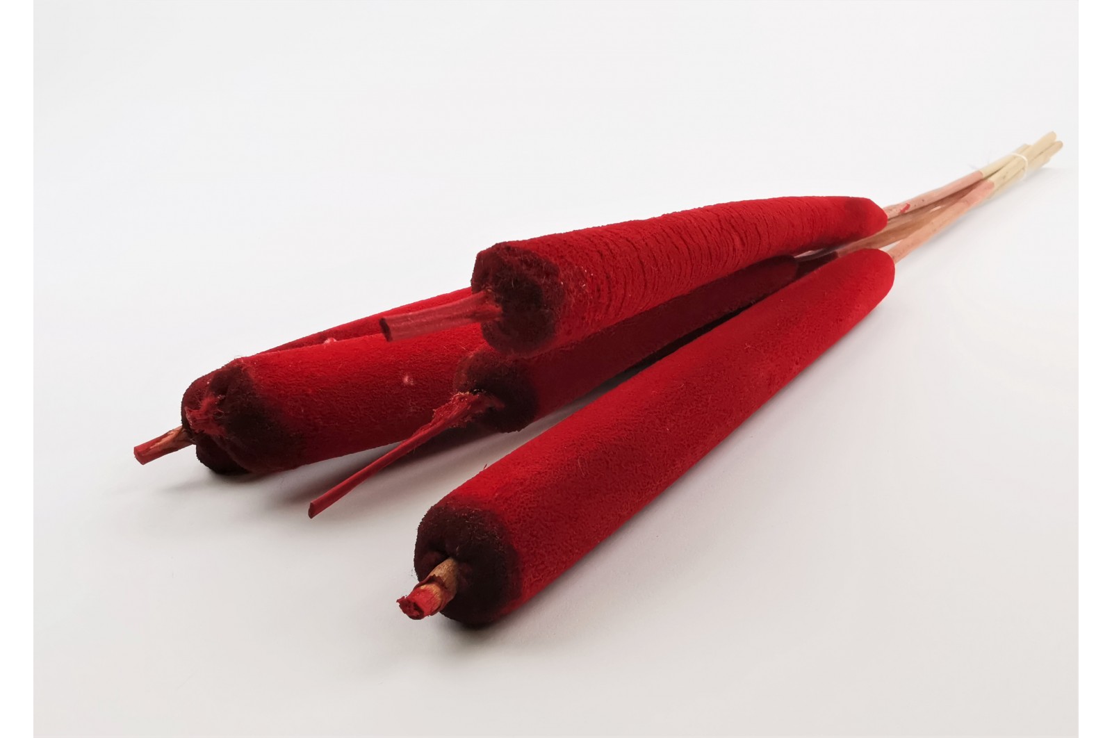 Dried Typha * (12) Dried Typha * (12)