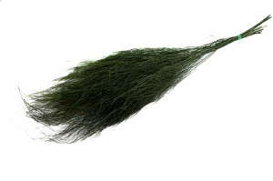 preserved-tiki-es-dark-green.