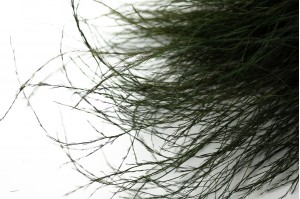 preserved-tiki-es-dark-green.