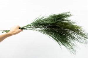 preserved-tiki-es-dark-green.