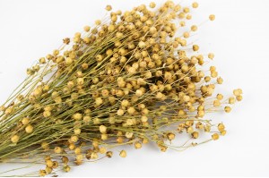 dried-flax-18