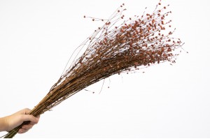 dried-flax-18.