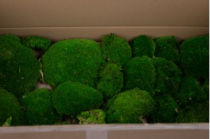 Preserved pole moss bulk box (26)