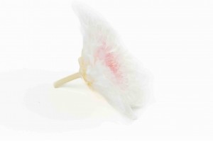 preserved-japanese-chrysanthemum-30.