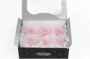 preserved-japanese-chrysanthemum-30.