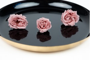 rose-majolica-stabilisee-30.