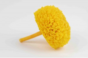 chrysantheme-stabilise-l-30.