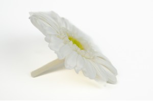 preserved-gerbera-30.