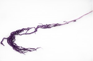 preserved-amaranthus-8.