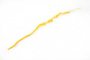 preserved-amaranthus-8.