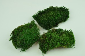 Preserved moss from Provence green (2)