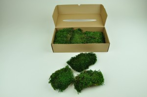 preserved-moss-from-provence-green-2.