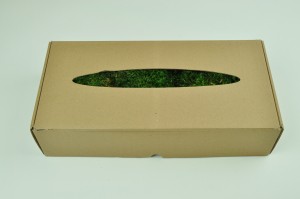 preserved-moss-from-provence-green-2.