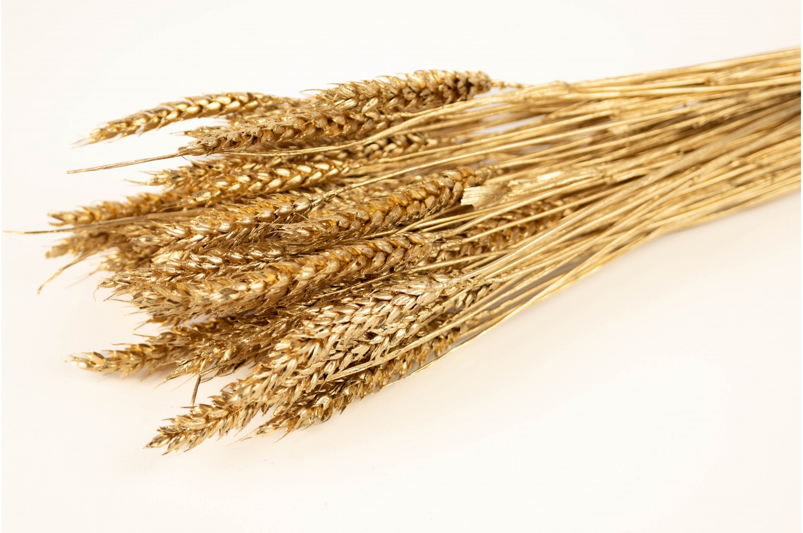 Dried wheat (8) dried-wheat-8