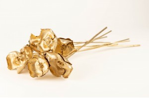 dried-palm-cup-flower-8.