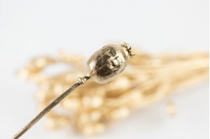 dried-poppy-08.