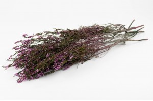 preserved-erika-heather-6.