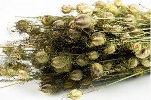 dried-nigella-29.