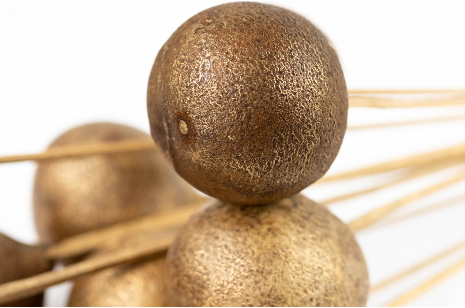 Dried bellani balls on stem (29) dried-bellani-balls-on-stem-29