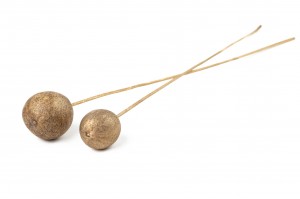 dried-bellani-balls-on-stem-29.