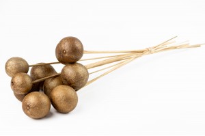 dried-bellani-balls-on-stem-29.