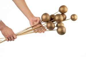 dried-bellani-balls-on-stem-29.