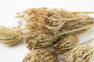 Dried fennel (29)