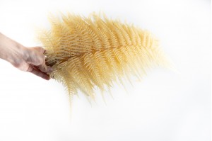 preserved-cinnamon-fern-19.