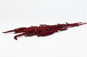 preserved-amaranthus-on-stem-8.