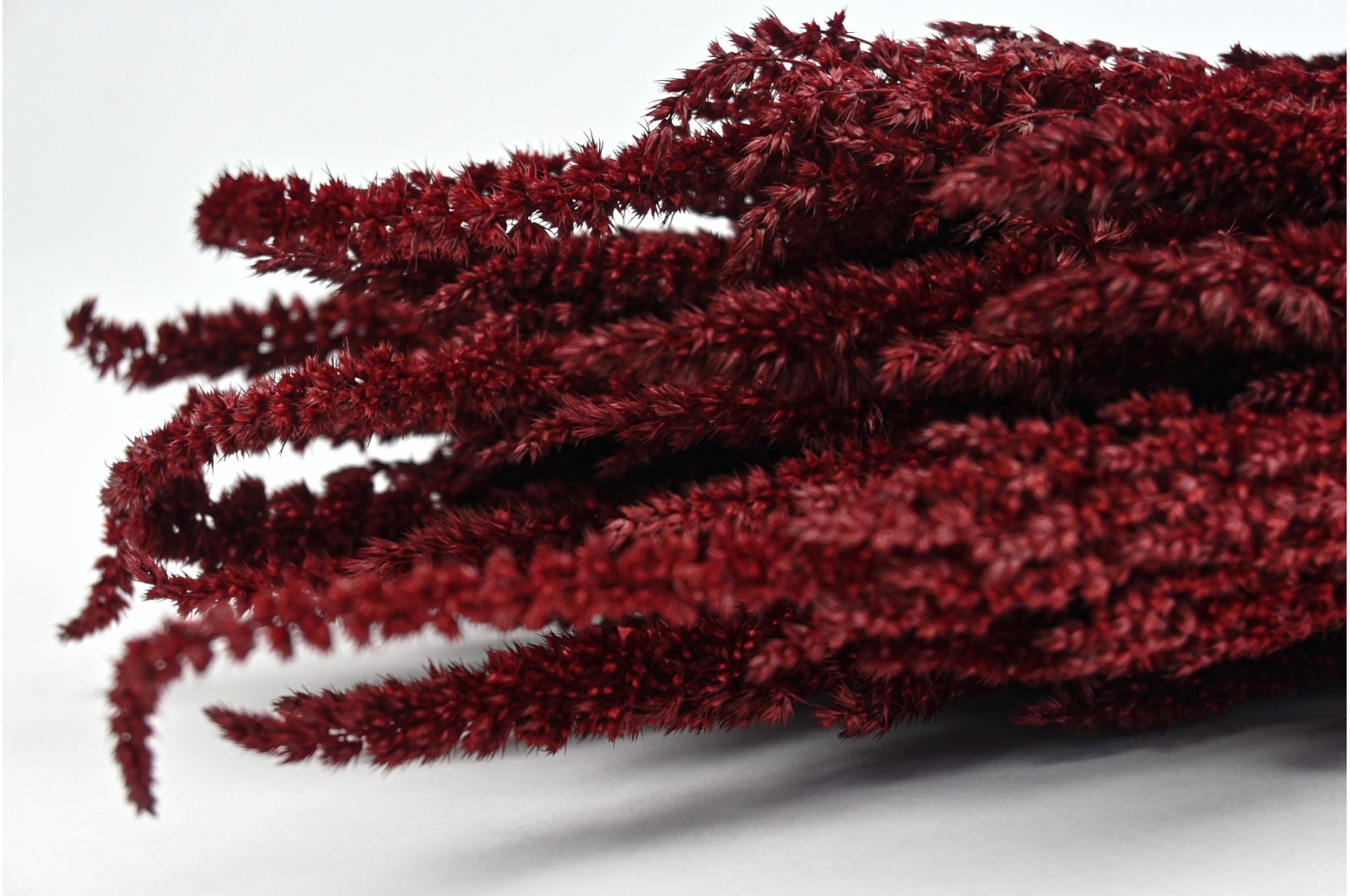 preserved-amaranthus-on-stem-8