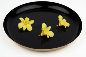 preserved-dendrobium-orchid-30.