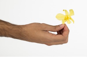 preserved-dendrobium-orchid-30.