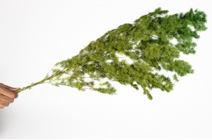 stabilisierter-mingfarn-31.