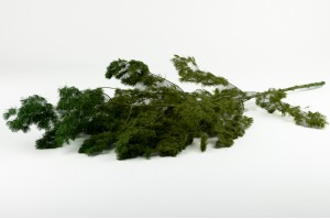 stabilisierter-mingfarn-31.