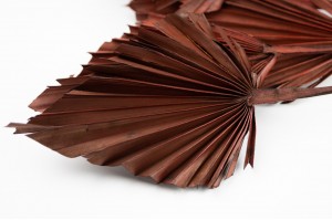 dried-palm-spear-18.