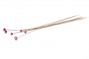 glixia-seche-geante-8.