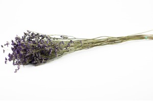 dried-limonium-natural-8.